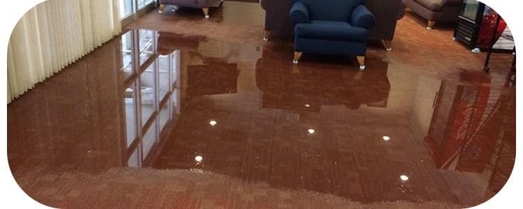 Expert Flood Damage Restoration Gisborne