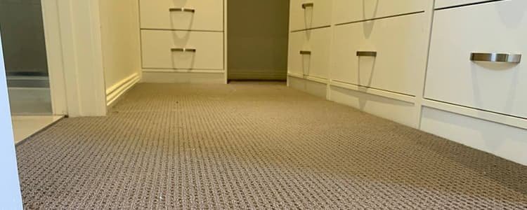 End Of Lease Carpet Cleaning Gisborne